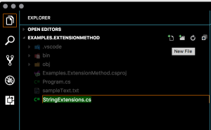 New StringExtension.cs Class source file